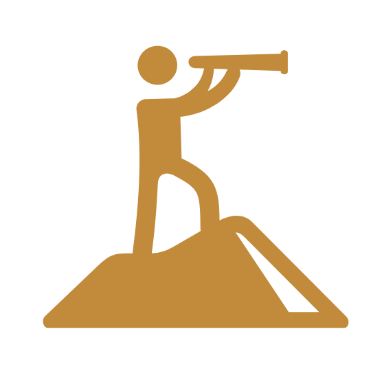 Visión